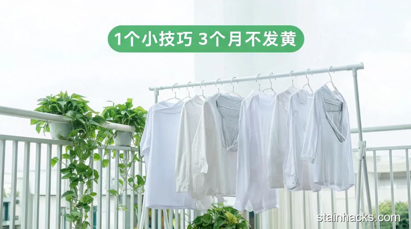 洁净生活家 小苏打清洗白色衣服,避免发黄的正确使用方式